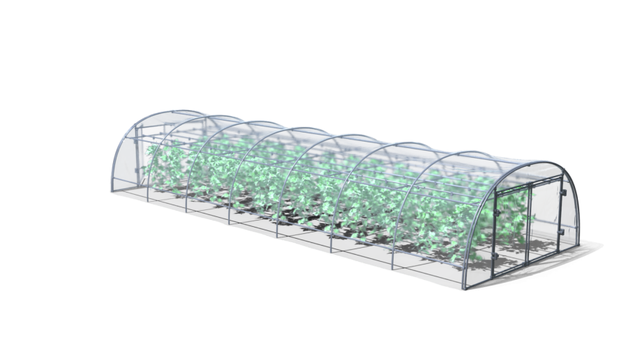 Greenhouse With Plants.H03.2k