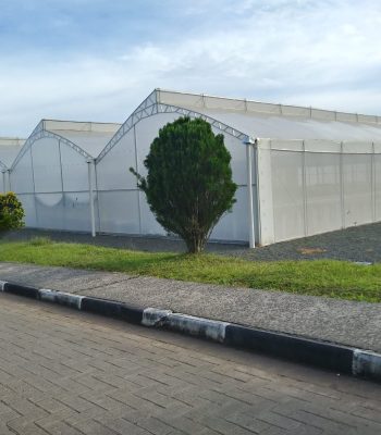 Estufas metálicas treliçadas com Lanternim