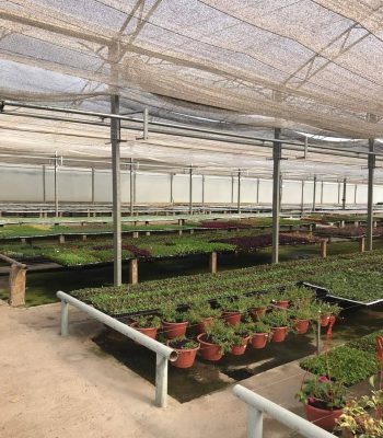 WhatsApp Image 2024-11-11 at 14.22.46 (3)