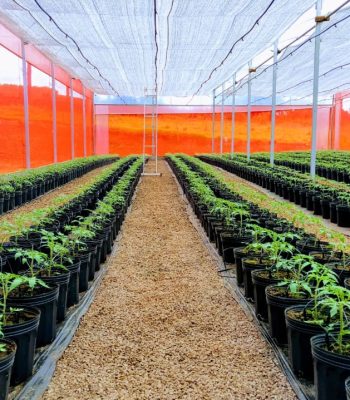 WhatsApp Image 2024-11-22 at 18.42.33