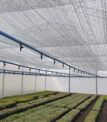 Sistema de nebulização