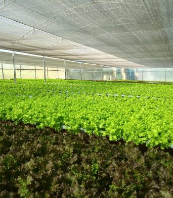 WhatsApp Image 2024-12-19 at 10.55.47 (1)