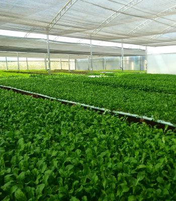 WhatsApp Image 2024-12-19 at 10.55.55 (5)