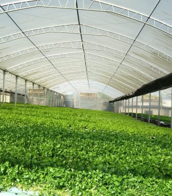 WhatsApp Image 2024-12-19 at 10.56.57 (6)