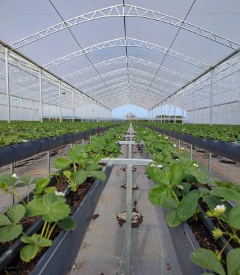 WhatsApp Image 2024-12-19 at 13.35.15 (5)