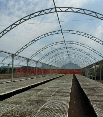 WhatsApp Image 2024-12-24 at 09.27.45