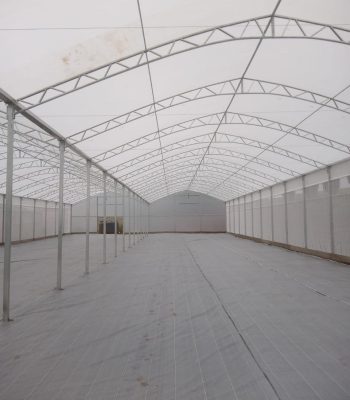 WhatsApp Image 2024-12-24 at 09.27.46 (1)