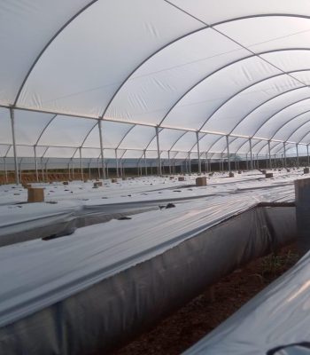 WhatsApp Image 2024-12-24 at 09.27.46 (2)