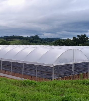 WhatsApp Image 2024-12-24 at 09.27.46 (3)