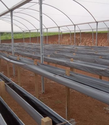 WhatsApp Image 2024-12-24 at 09.27.46